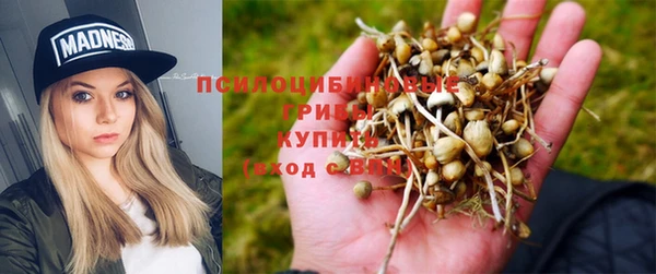 сатива Алзамай