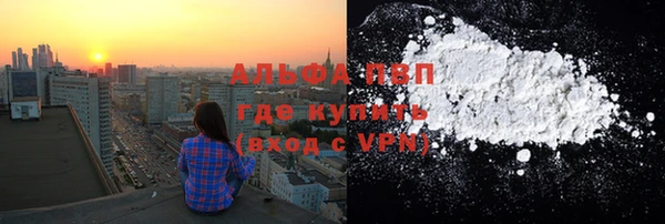 сатива Алзамай