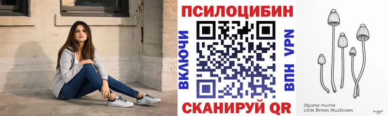 Галлюциногенные грибы Cubensis Заринск