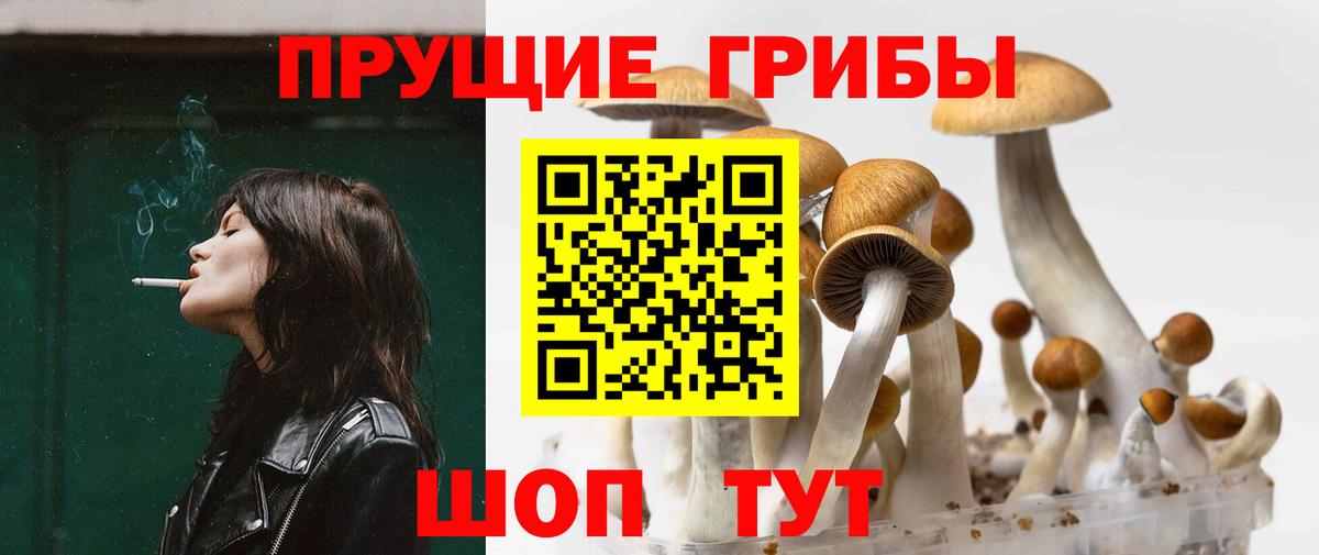 Псилоцибиновые грибы прущие грибы  Вход с VPN  Галлюциногенные грибы Cubensis  Заринск 